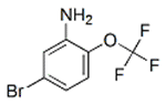 3-Amino-4-(trifluoromethoxy)BromoBenzene