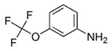 3-(Trifluoromethoxy)aniline